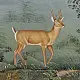 shop Miniature Painting Hiran