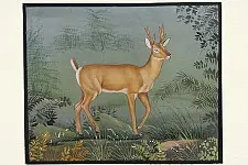 Miniature Painting | Hiran / Deer