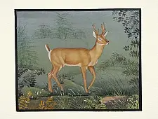Miniature Painting | Hiran / Deer