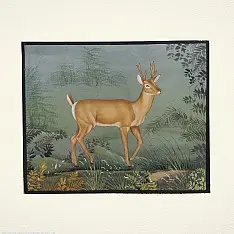 Miniature Painting | Hiran / Deer
