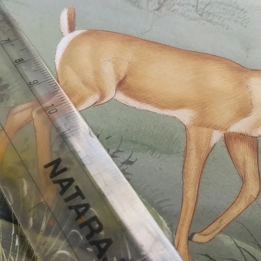 shop Miniature Painting Hiran