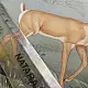 shop Miniature Painting Hiran