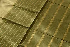 Rojana | Handloom Andhra Cotton Saree - Light Green