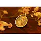 देवसेना * Miniature Painting . Pendant * Sarasvati (B-R)