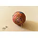 shop Painted Horse & Elephant on Hanging Coconut