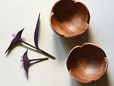 Wooden Cutlery ✼ Bowl ( Set of Two )