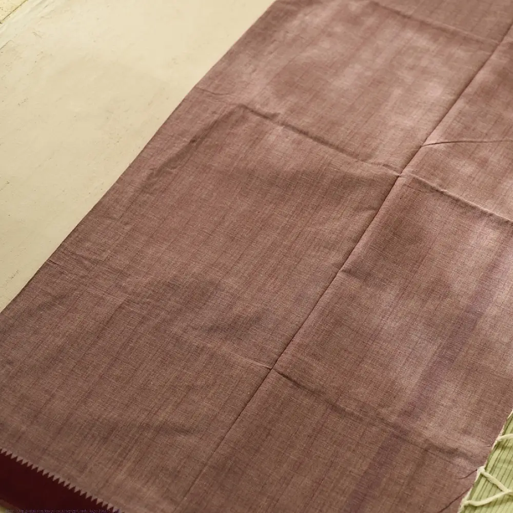 handloom begampuri pure cotton saree in light green with maroon and slate blue woven striped borders