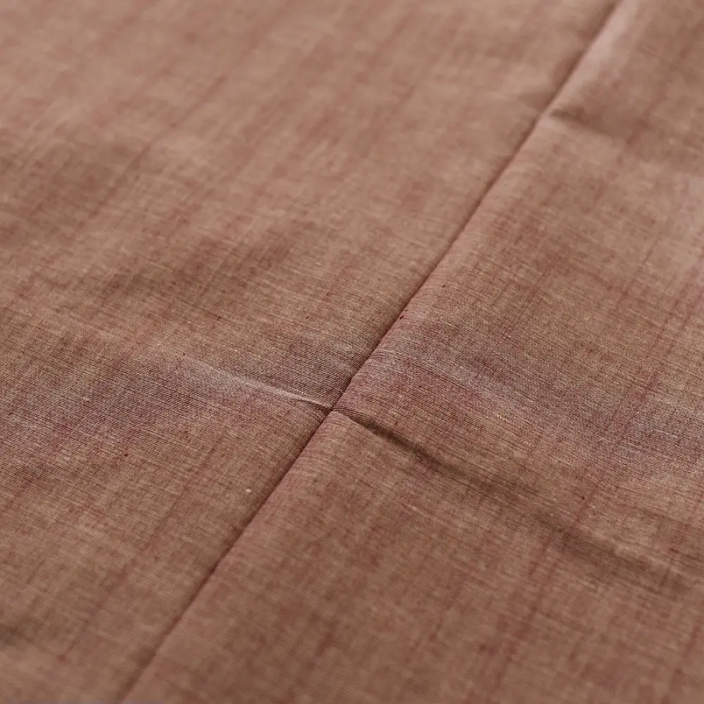 handloom begampuri pure cotton saree in light green with maroon and slate blue woven striped borders