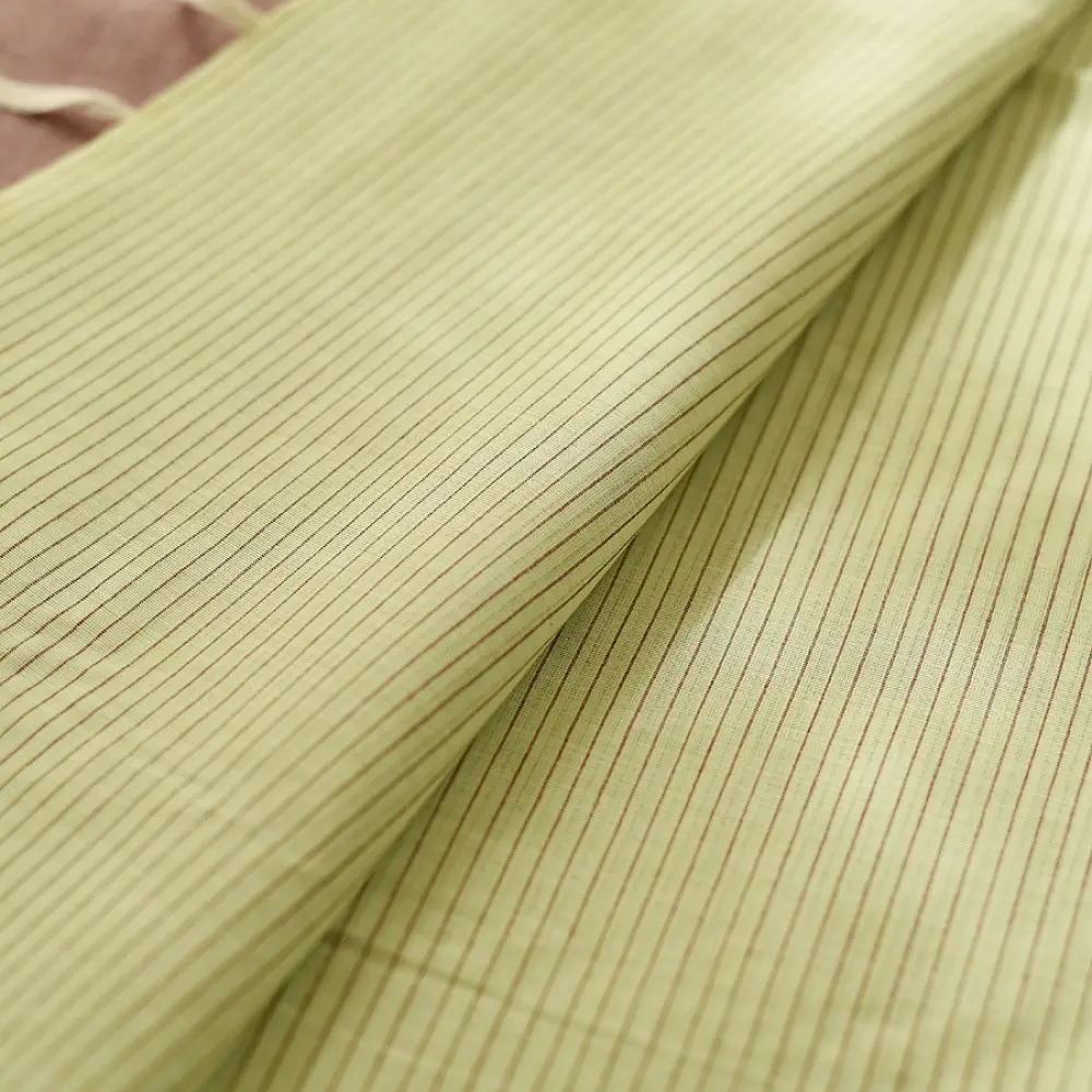 handloom begampuri pure cotton saree in light green with maroon and slate blue woven striped borders