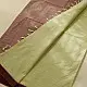 handloom begampuri pure cotton saree in light green with maroon and slate blue woven striped borders