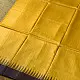 shop Handwoven Pure Tussar Silk Ikat Saree - Yellow & Brown 