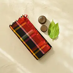 Sadaa . सदा ✡ Begampuri Handloom Cotton Saree - Multi-Color Plaid Checks 