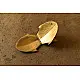 handmade brass Fish Platter