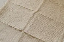 कमला | Handloom Cotton Zari Saree | Moti