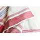 shop handloom cotton Baiga tribal-cotton Saree