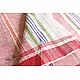 shop handloom cotton Baiga tribal-cotton Saree