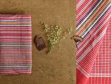 Mahuaa . महुआ | Handloom Baiga Adivasi Cotton Saree - Red