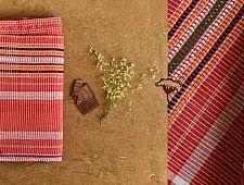 Mahuaa . महुआ | Handloom Baiga Adivasi Saree - Red