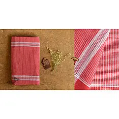 Mahuaa . महुआ | Handwoven Baiga Tribe Saree