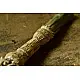 designer date leaves broom - Decorative Wall Handing 