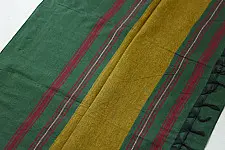 Sadaa . सदा | Begampuri Handloom Pure Cotton Forest Green Saree