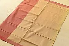 Rojana | Handloom Andhra - Cotton Saree  - C