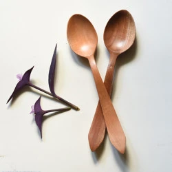 Wooden Cutlery ✼ Spoon ( Set of Two)