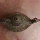 Shop Antique metal Surahi from Khajuraho 