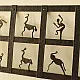 shop Wrought Iron ~ Wall Hanging