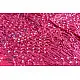 Faagun . फाल्गुन  ⁂ Cotton Bandhani Saree ⁂ 8