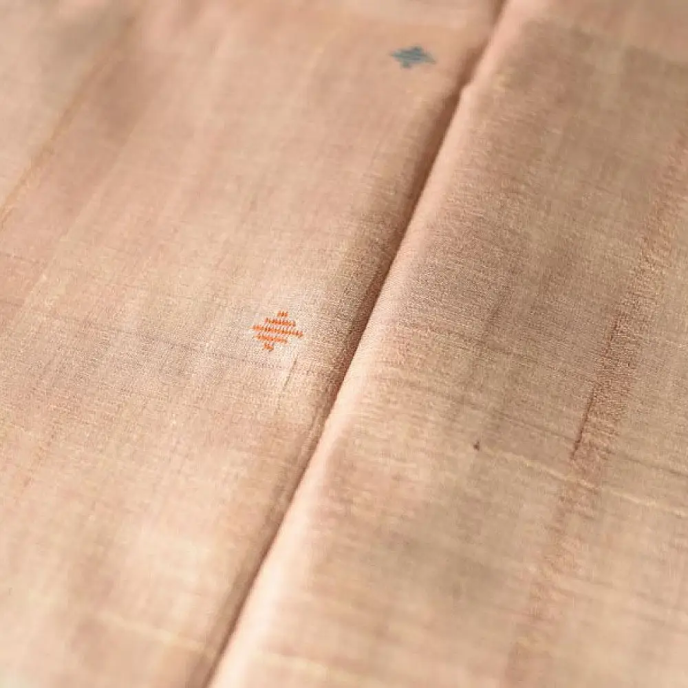 shop Pure Tussar Silk Saree With Contrast Blouse Piece