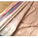 shop Pure Tussar Silk Saree With Contrast Blouse Piece