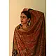 shop Kashmiri Pashmina Long Antique Jamawar shawl