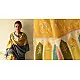 shop Kashmiri Pashmina Shawl with Sozni Jamawar Embroidery