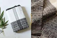 Paromita ~ Handloom Cotton Black & White Saree