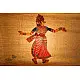 Shop Leather Puppets - Sita - pink saree