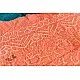 latest collection of cotton bandhni Blue-Orange sarees