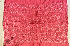 Malvika . मालविका ● Cotton Tie & Dyed Bandhani Saree ● 13