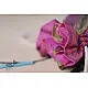 Getting carried away - Cotton String Bag - 5