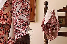 Sweet Smelling Frangipani ❀ Applique Dupatta ❀ 10