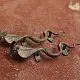 Shop Antique from Khajuraho Brass Door Handles - Snake