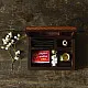 Devotional Travel Set (God Hanuman )