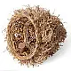shop Banana Rope Pine Frill Tree