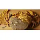 Twinkle drops ~ Silk Bandhani Masterpiece Dupatta ~ I