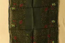 Block Printed Kota Cotton ✜ Embroidered Stole - Green