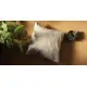 Applique Kaam ⌘ Cushion Cover ⌘ 3