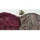 shop online Modal Silk Ajrakh Tie & Dye violet  Saree