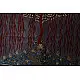 shop online Tree of Life painting - matani pachedi