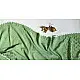 shop Designer Cotton - Bandhani Stole 