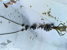 Bohemian Rhapsody | Long Necklace with Chain Tassels